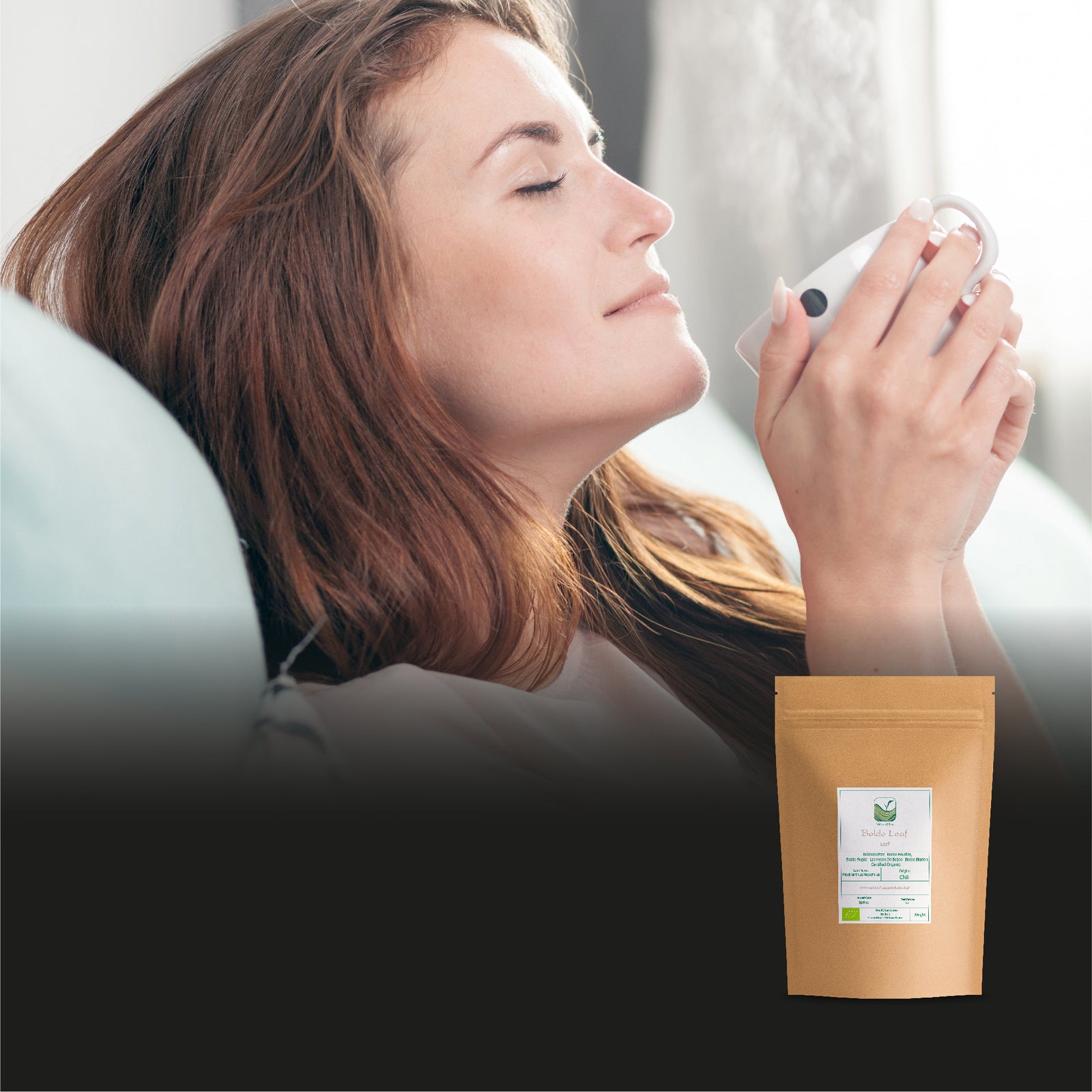 Boldo Leaf 100g