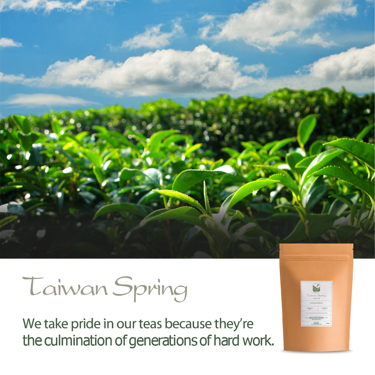 Taiwan Spring 100g