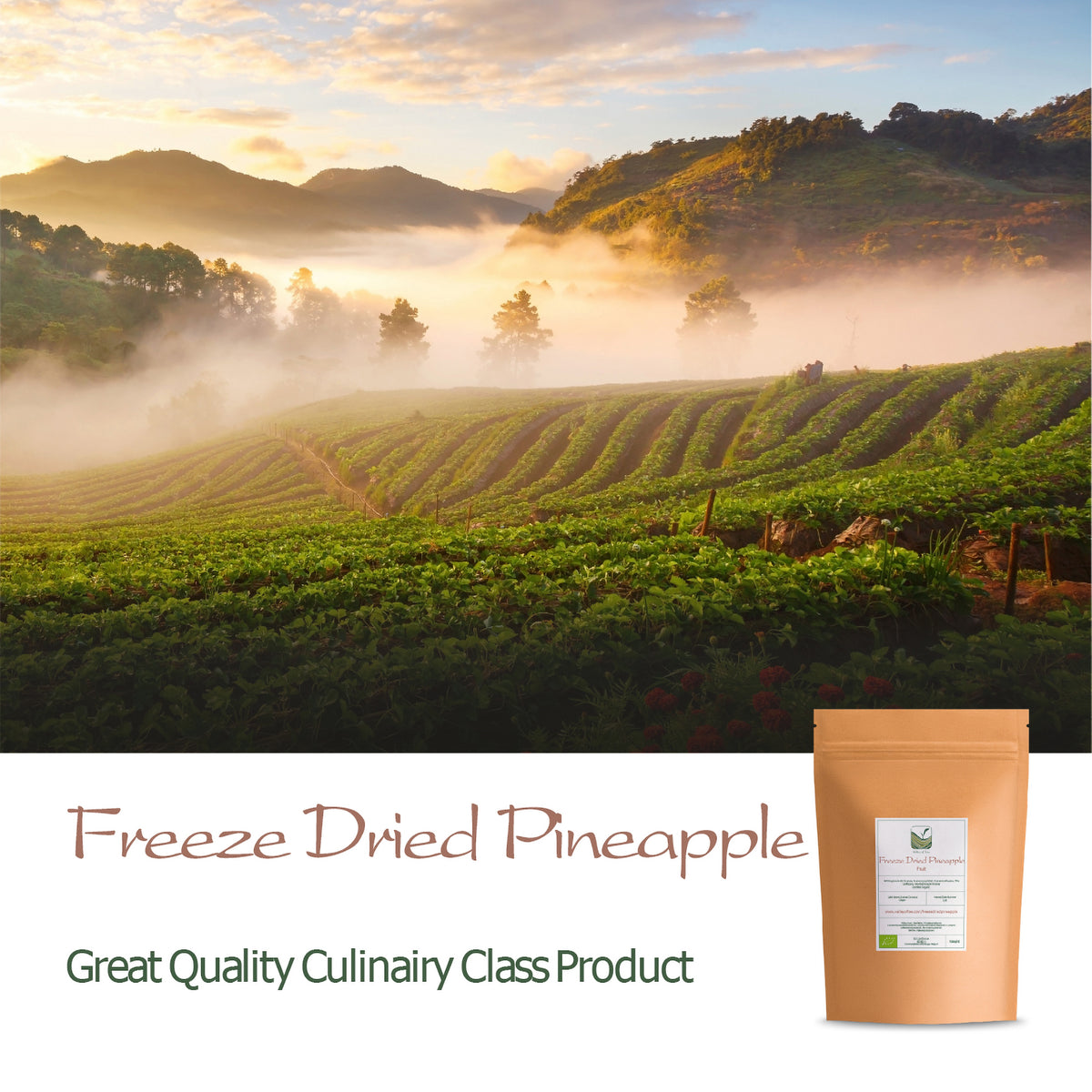 Freeze Dried Pineapple