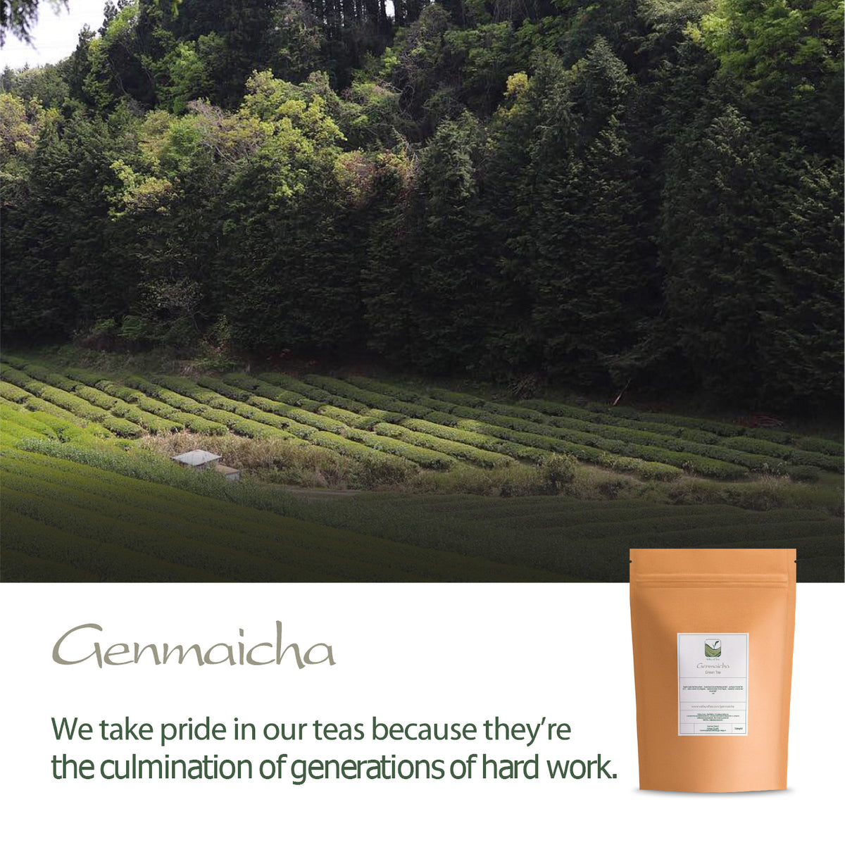 Genmaicha Roasted Rice Japanese Tea 200g