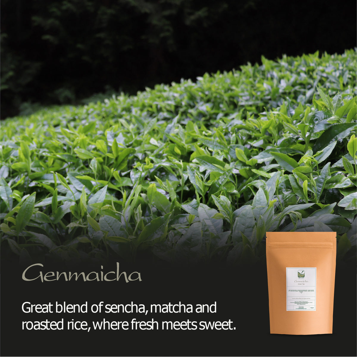 Genmaicha Roasted Rice Japanese Tea 200g