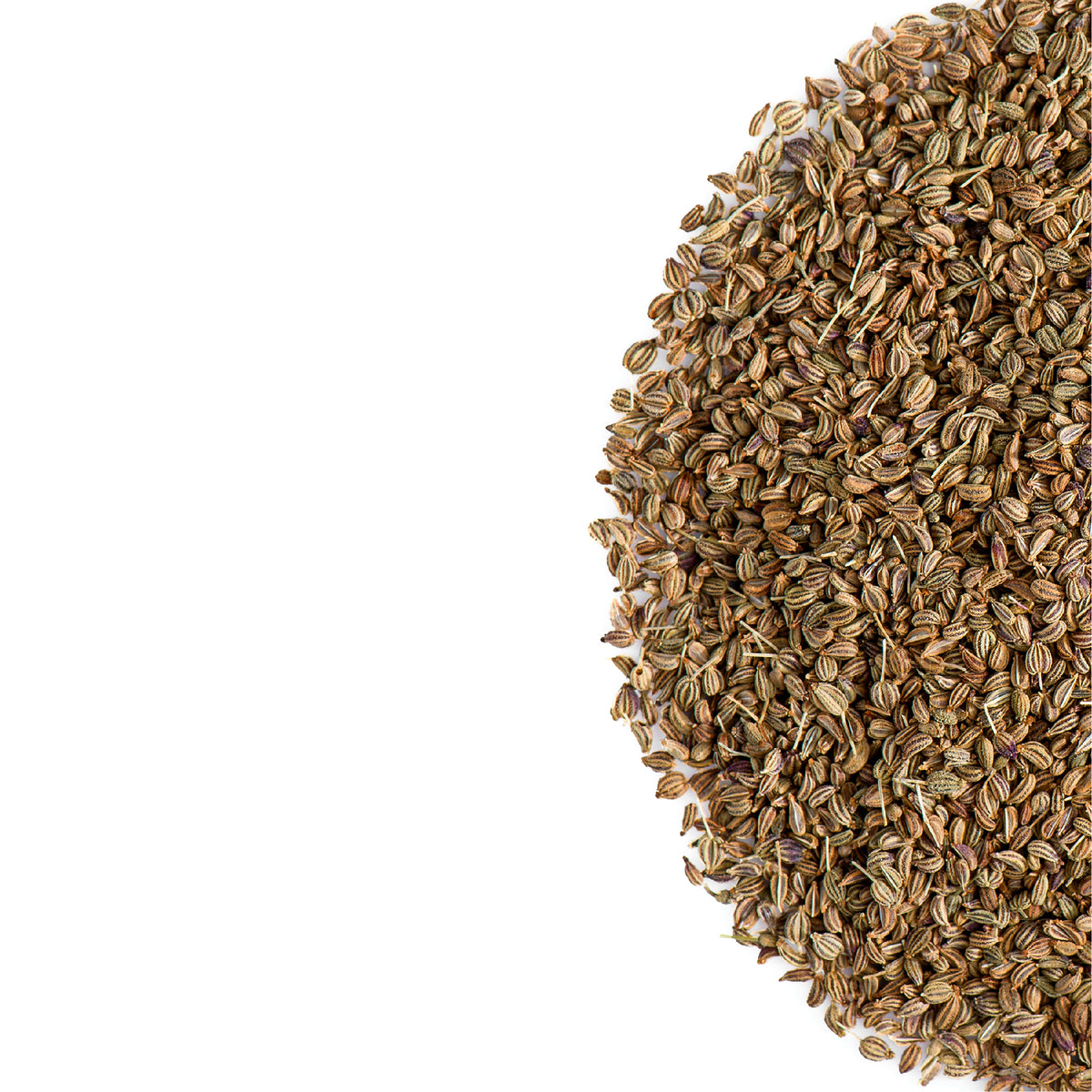 Ajwain Seed 200g