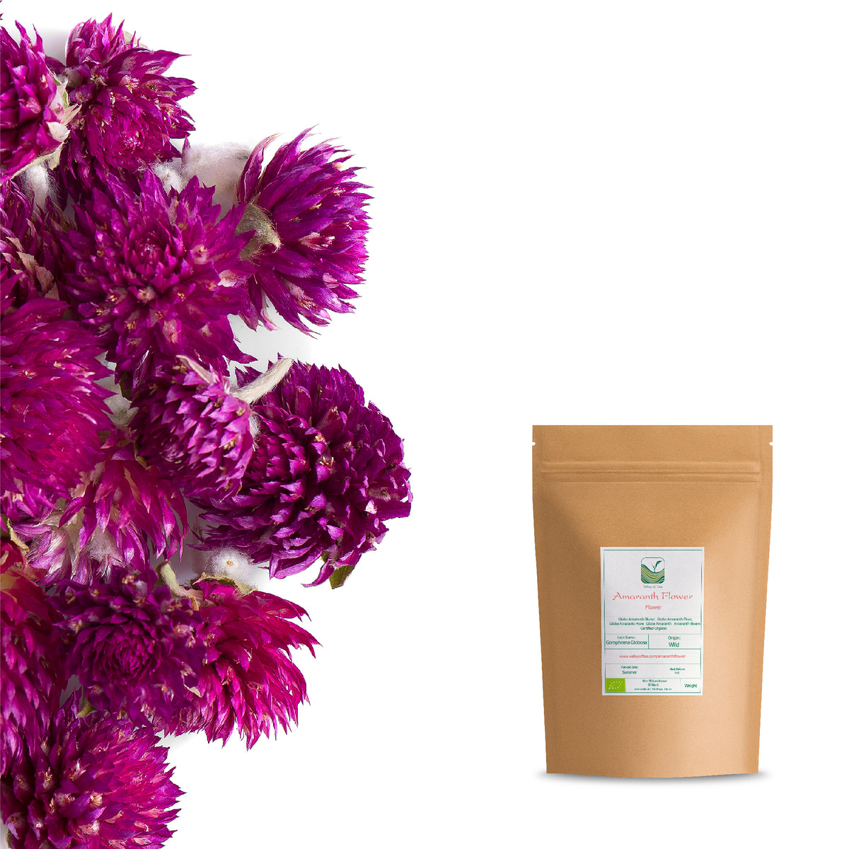 Globe Amaranth Flower