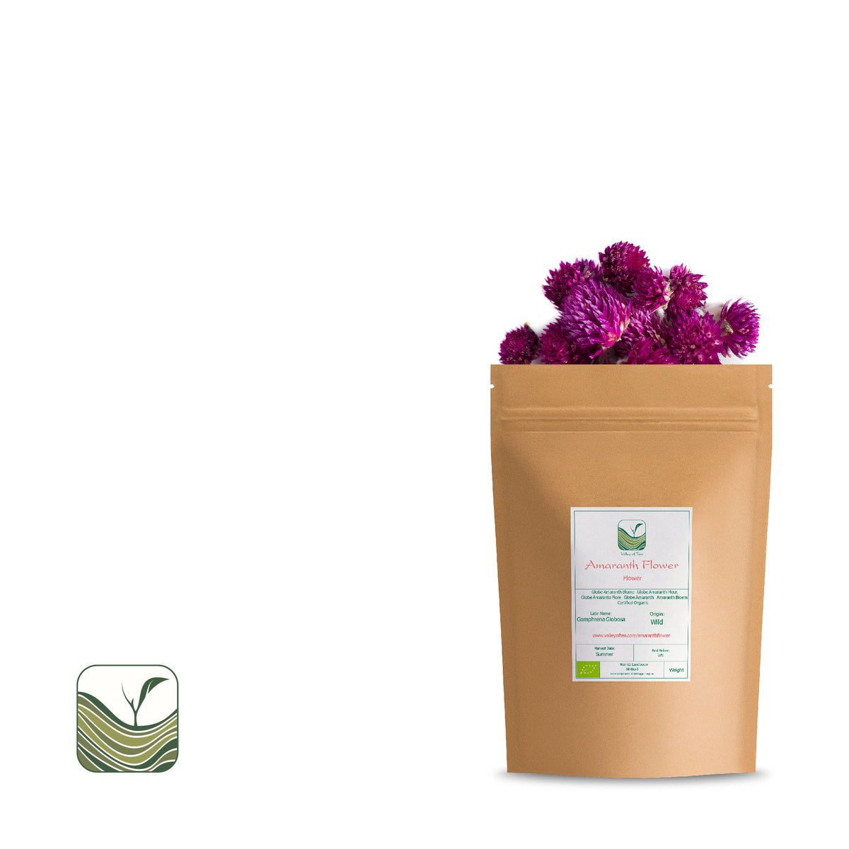 Globe Amaranth Flower