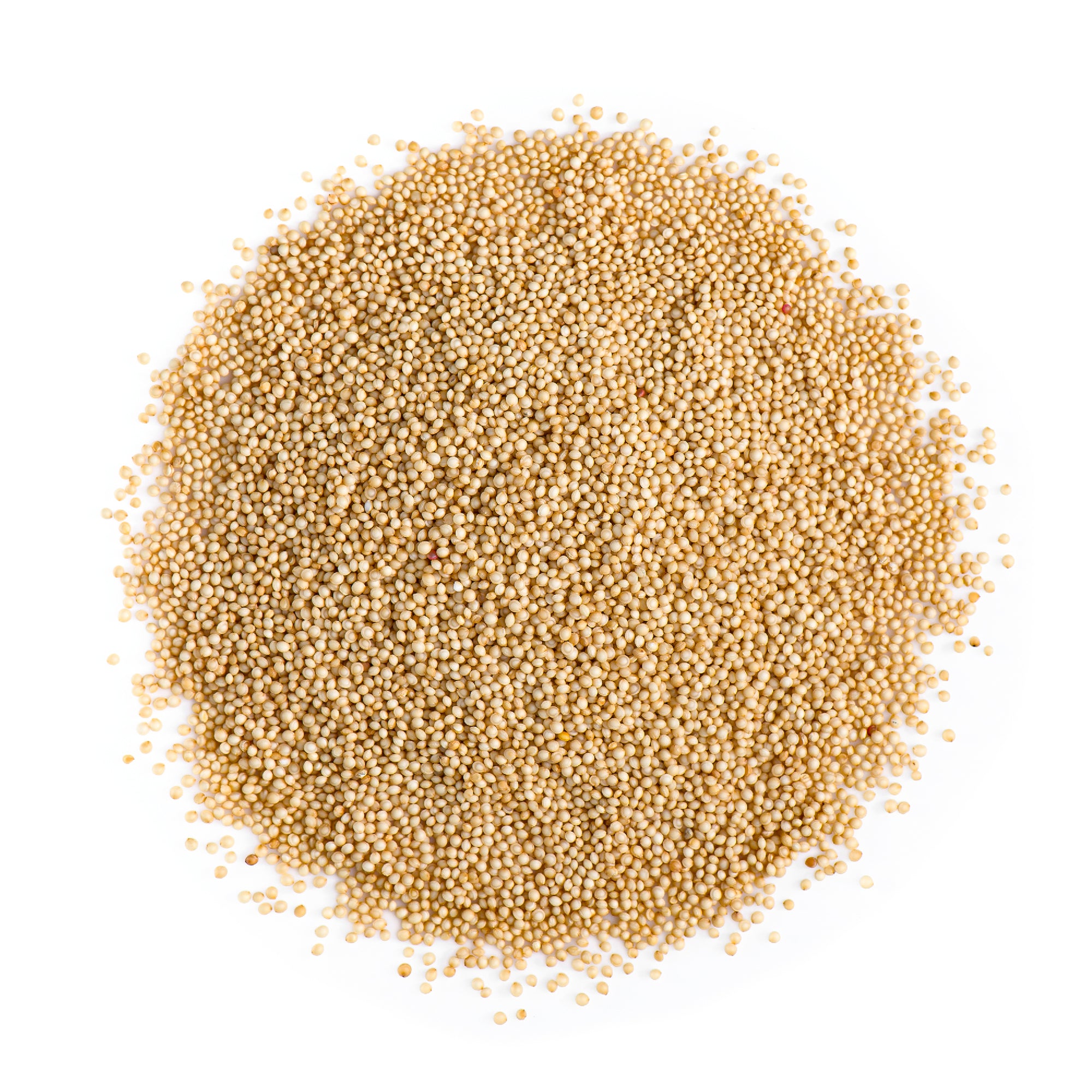 Amaranth Seed