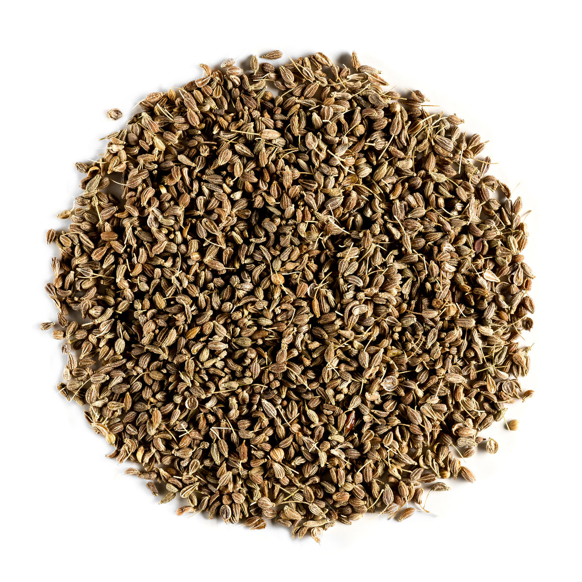 Anise Seed 100g