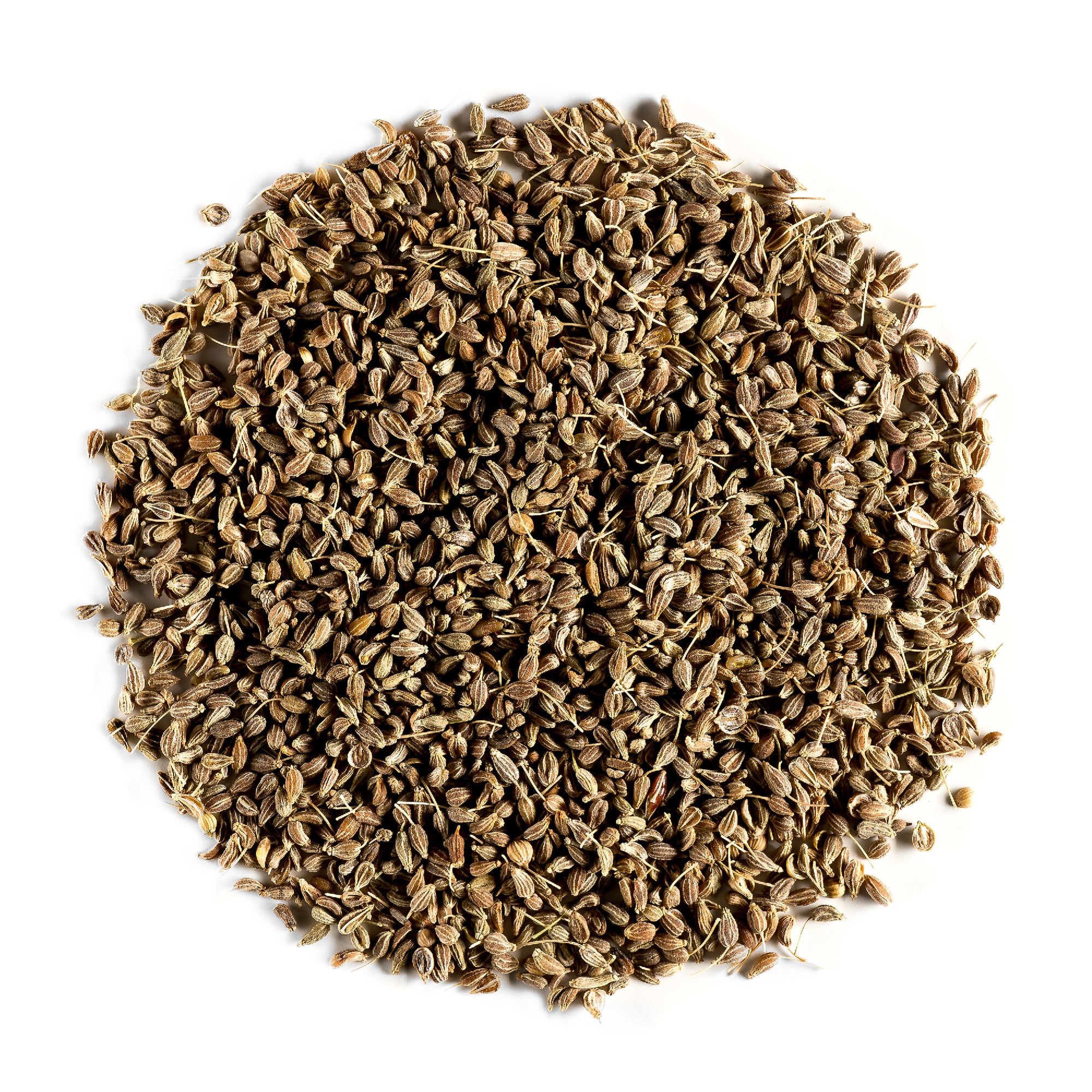 Anise Seed