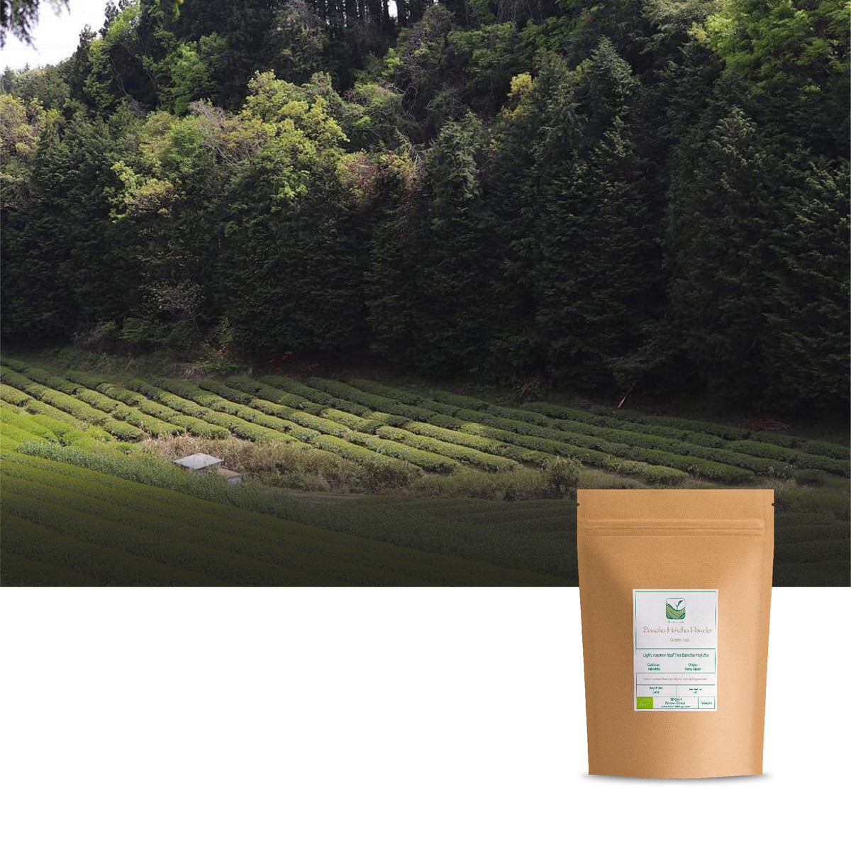 Bancha Hojicha Powder