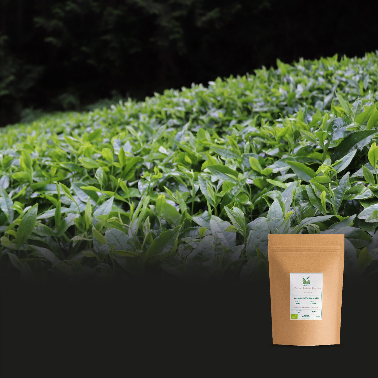 Bancha Hojicha Powder 50g