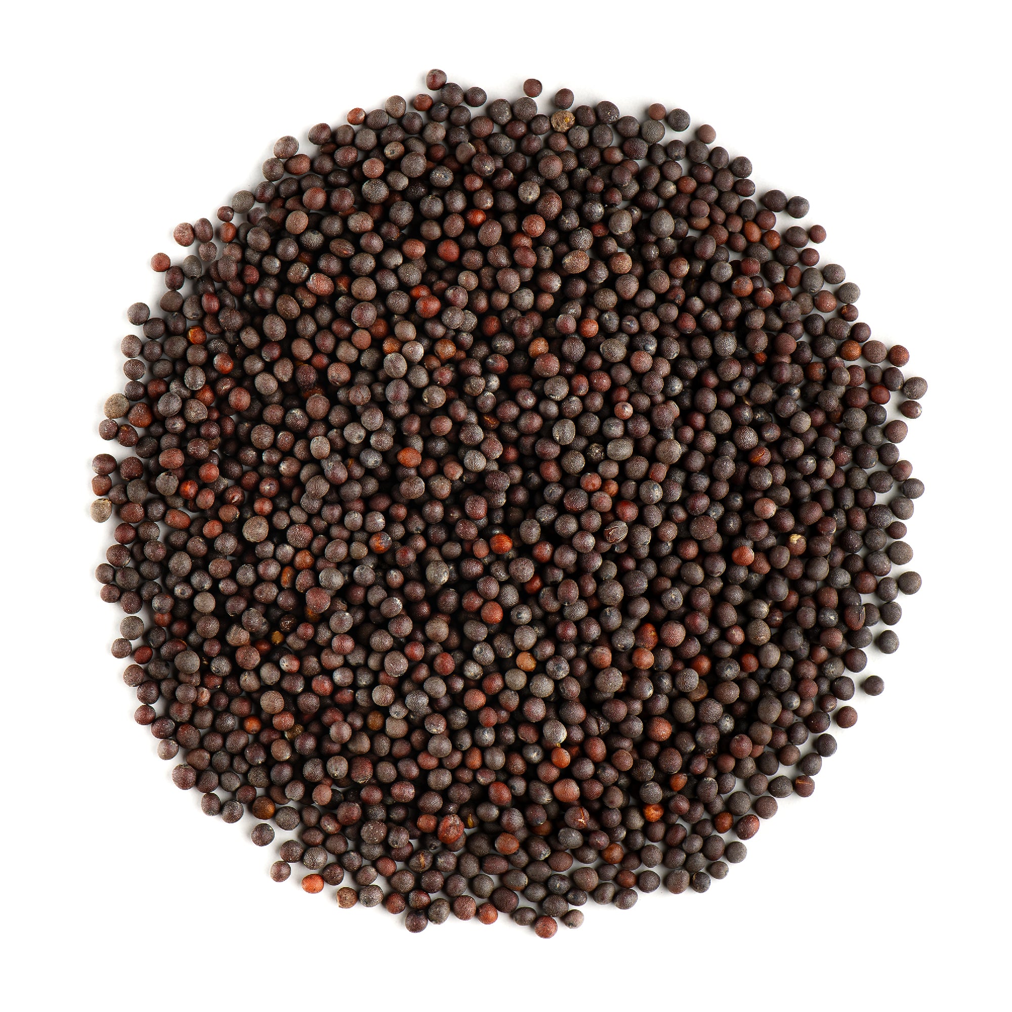 Black Mustard Seed