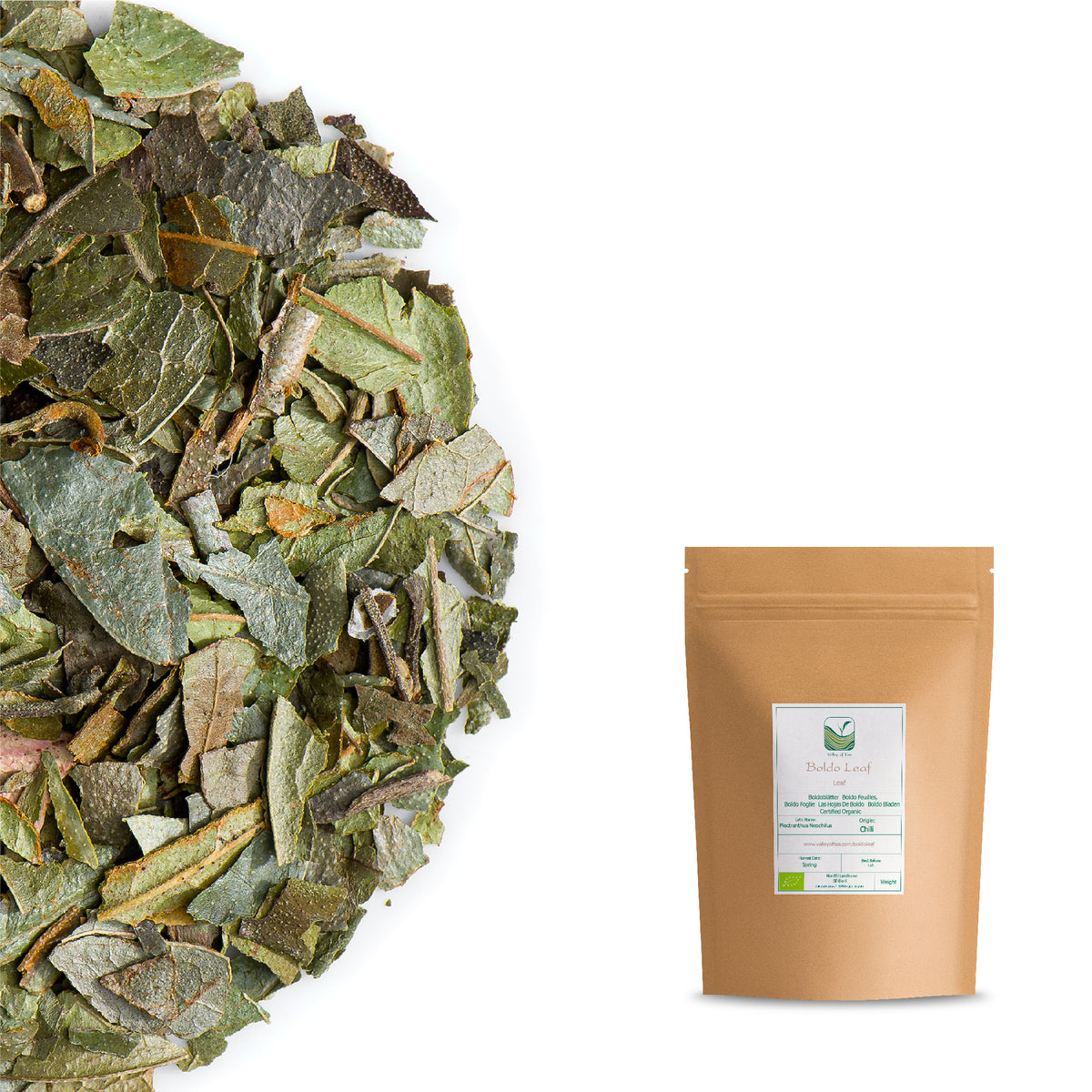 Boldo Leaf