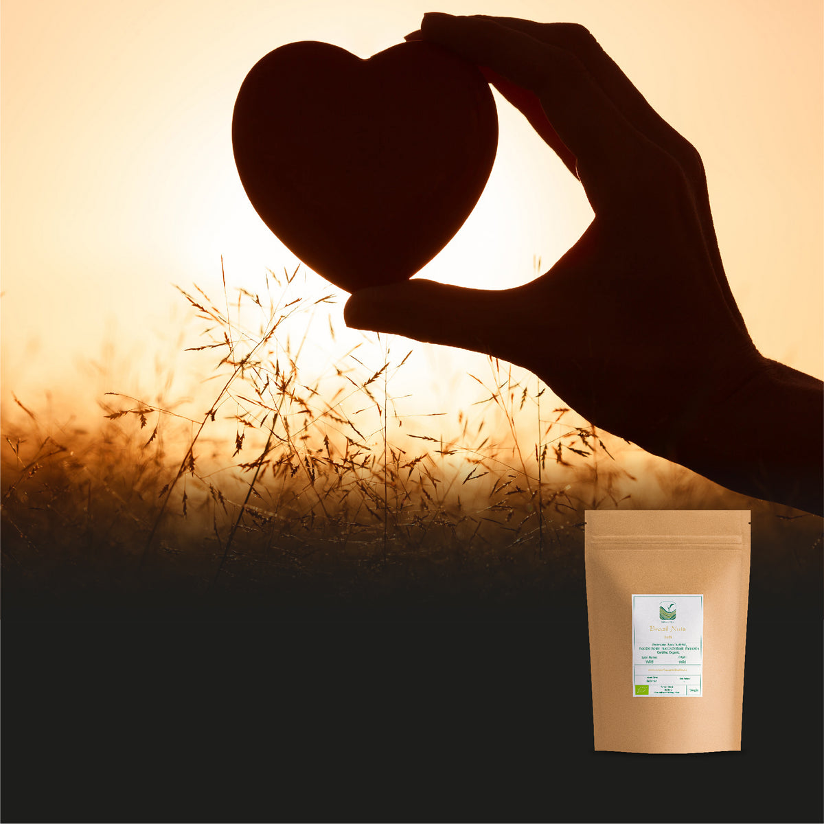 Brazil Nuts
