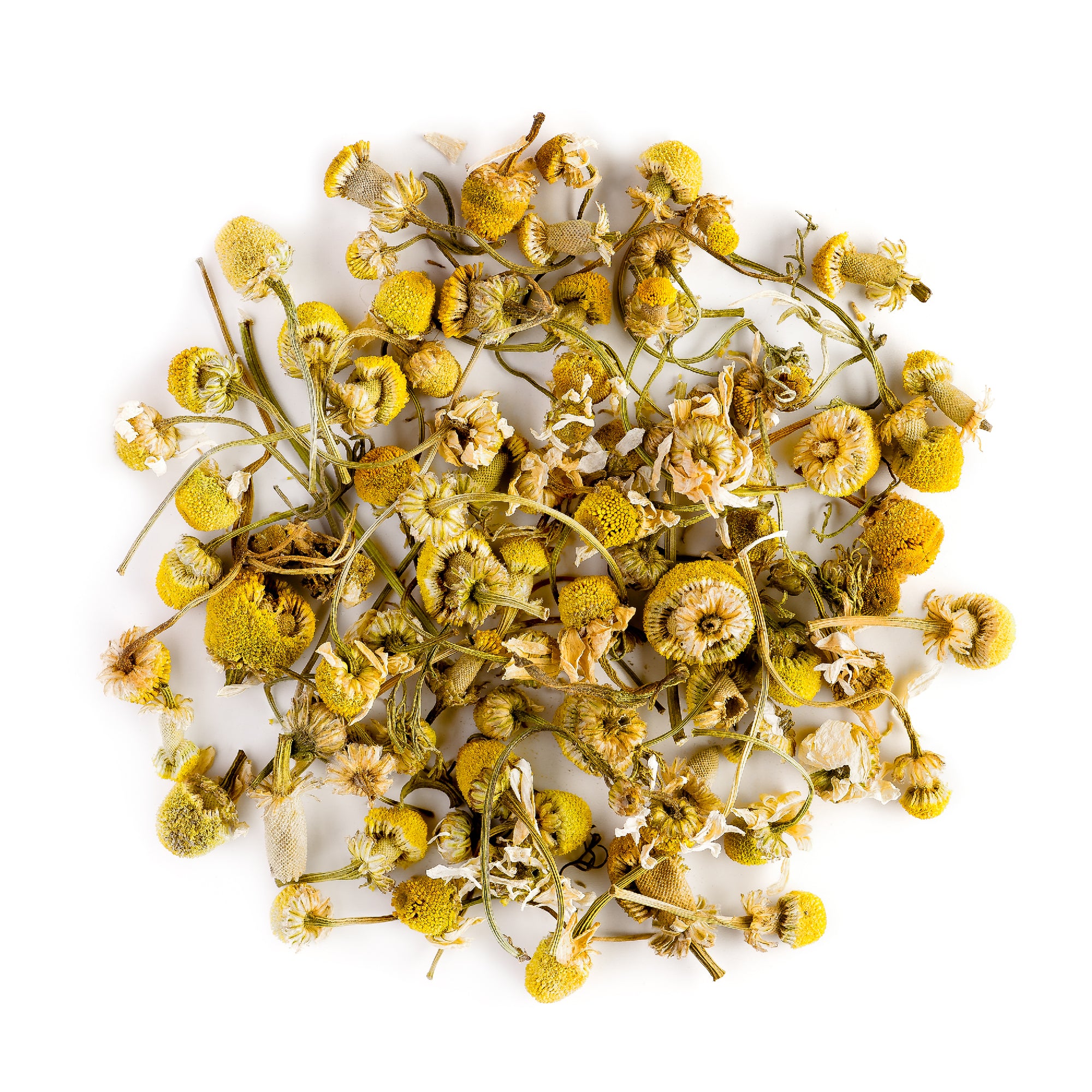 Camomile