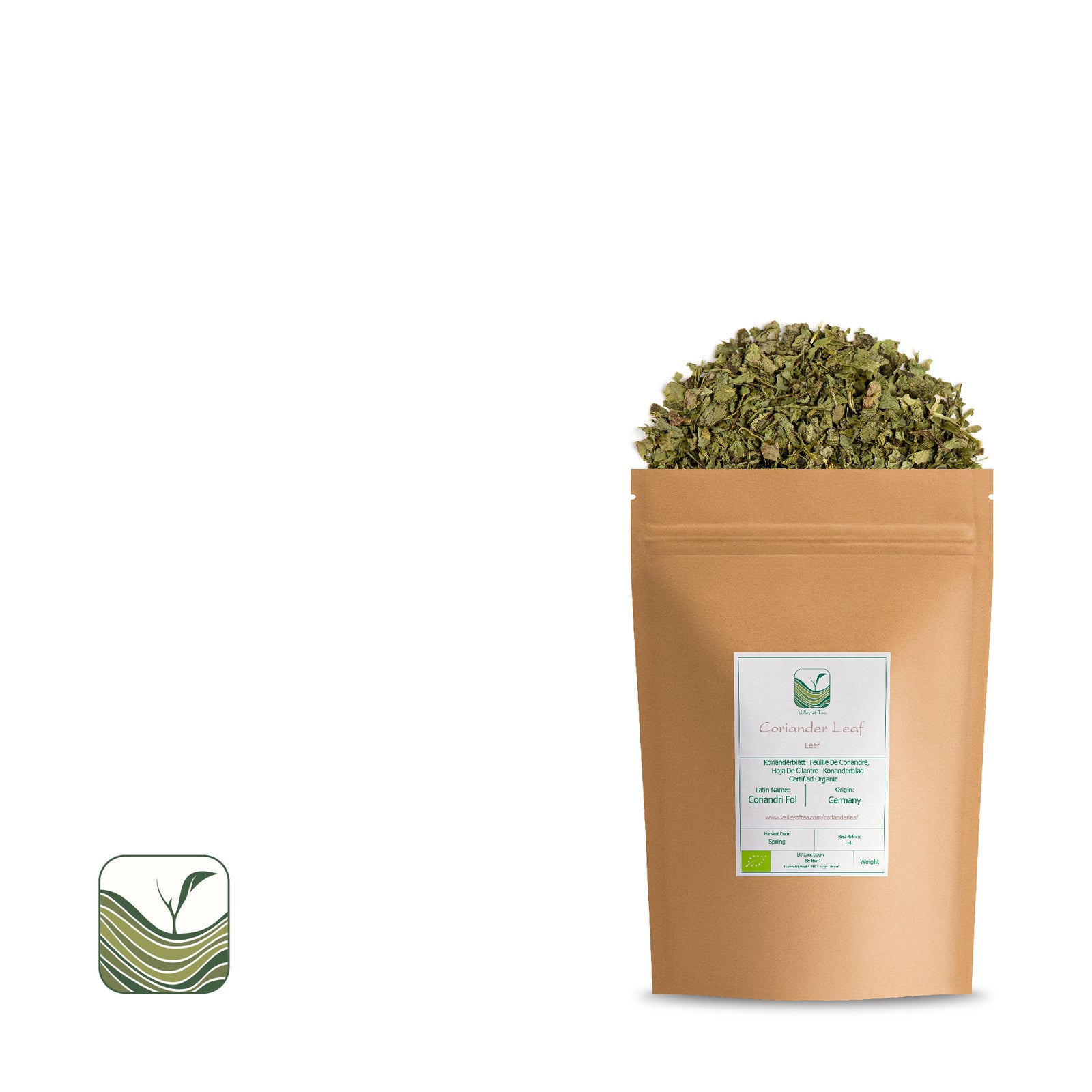 Coriander Leaf 100g