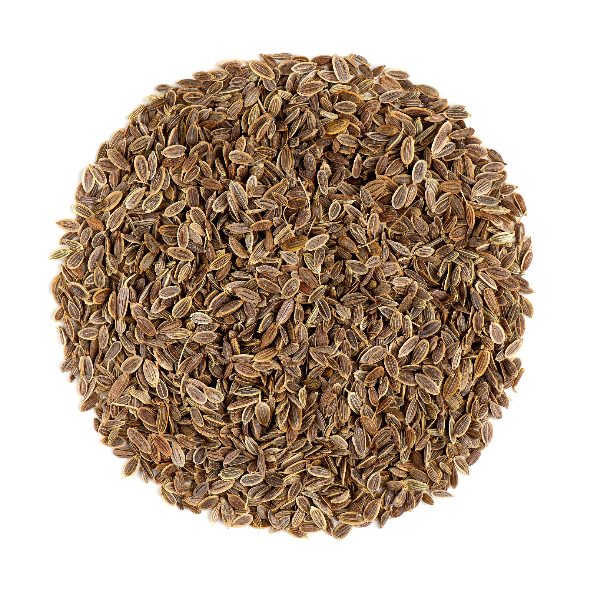 Dill Seed