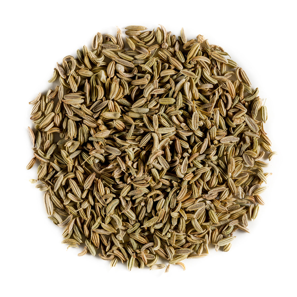 Fennel seed