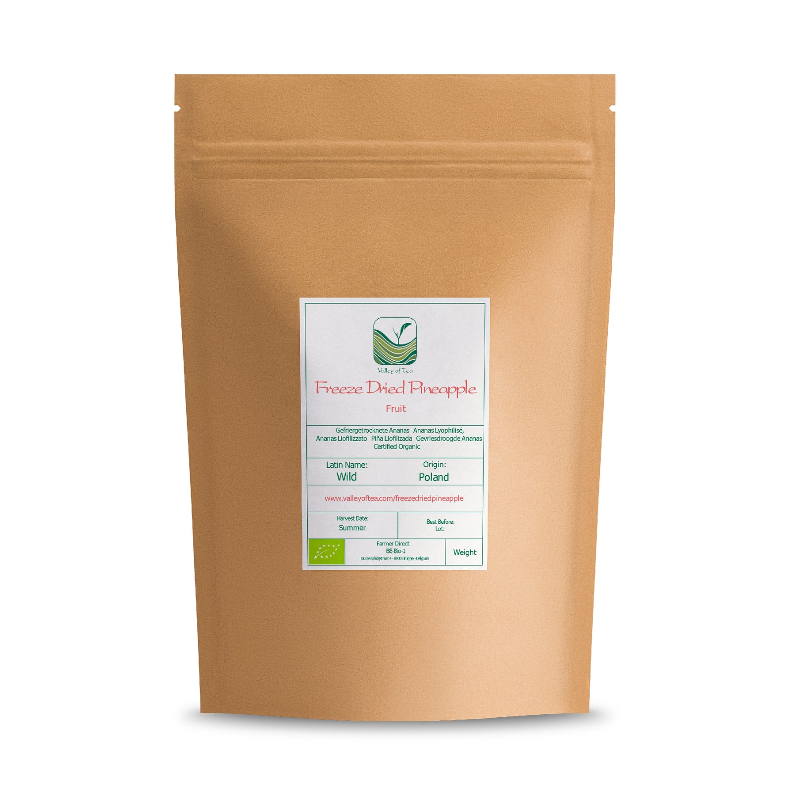 Freeze Dried Pineapple 40g