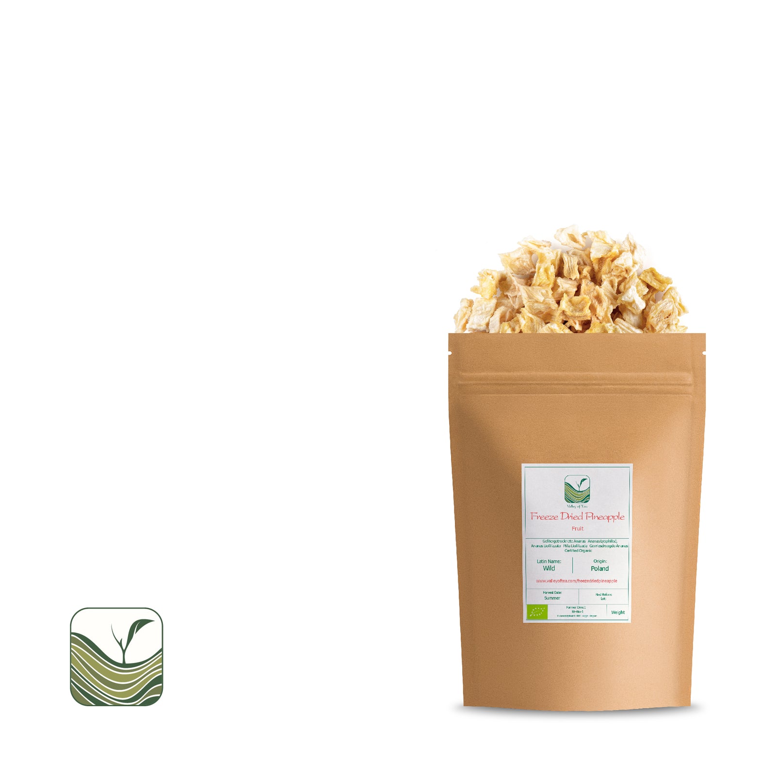 Freeze Dried Pineapple 40g