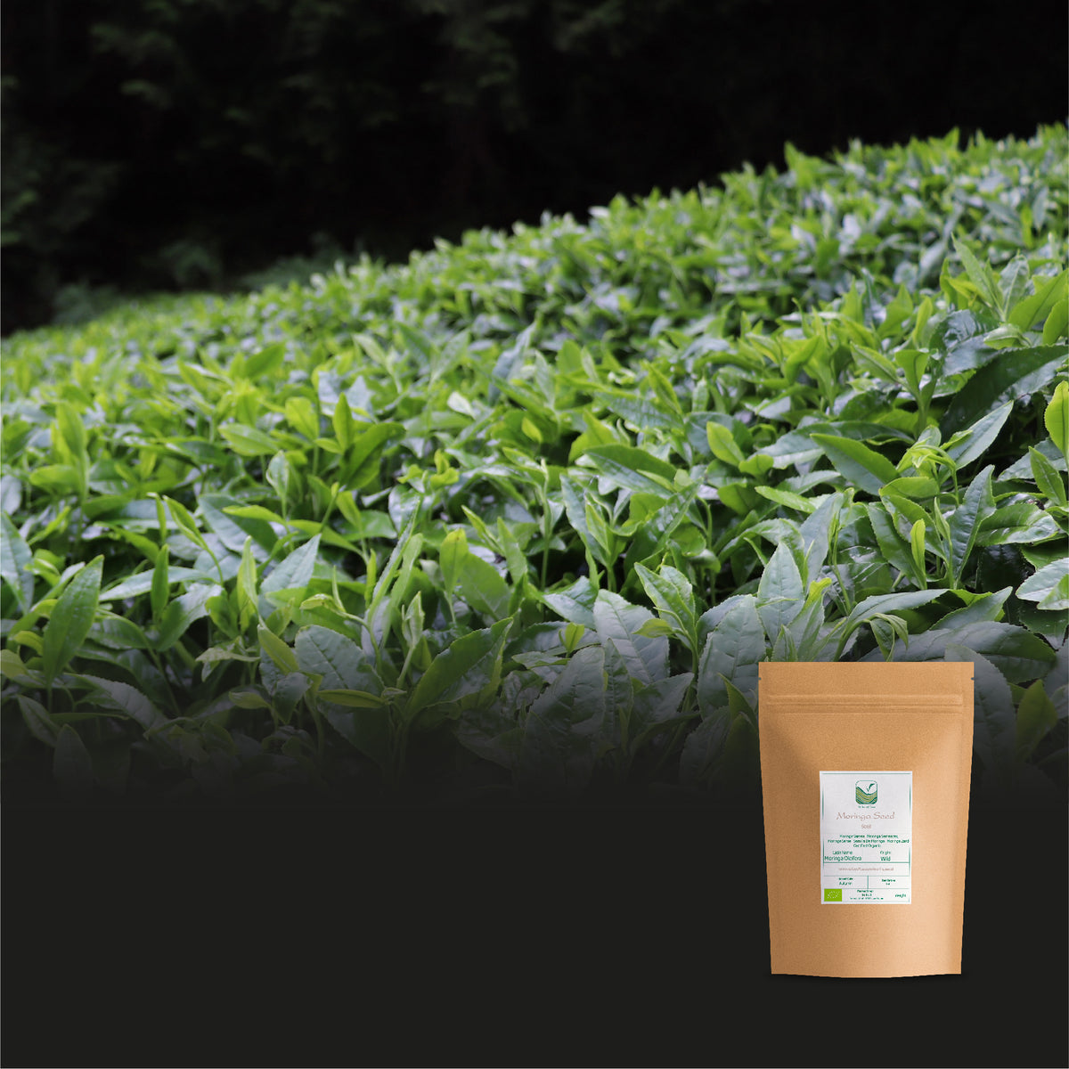 Gyokuro Organic 100g