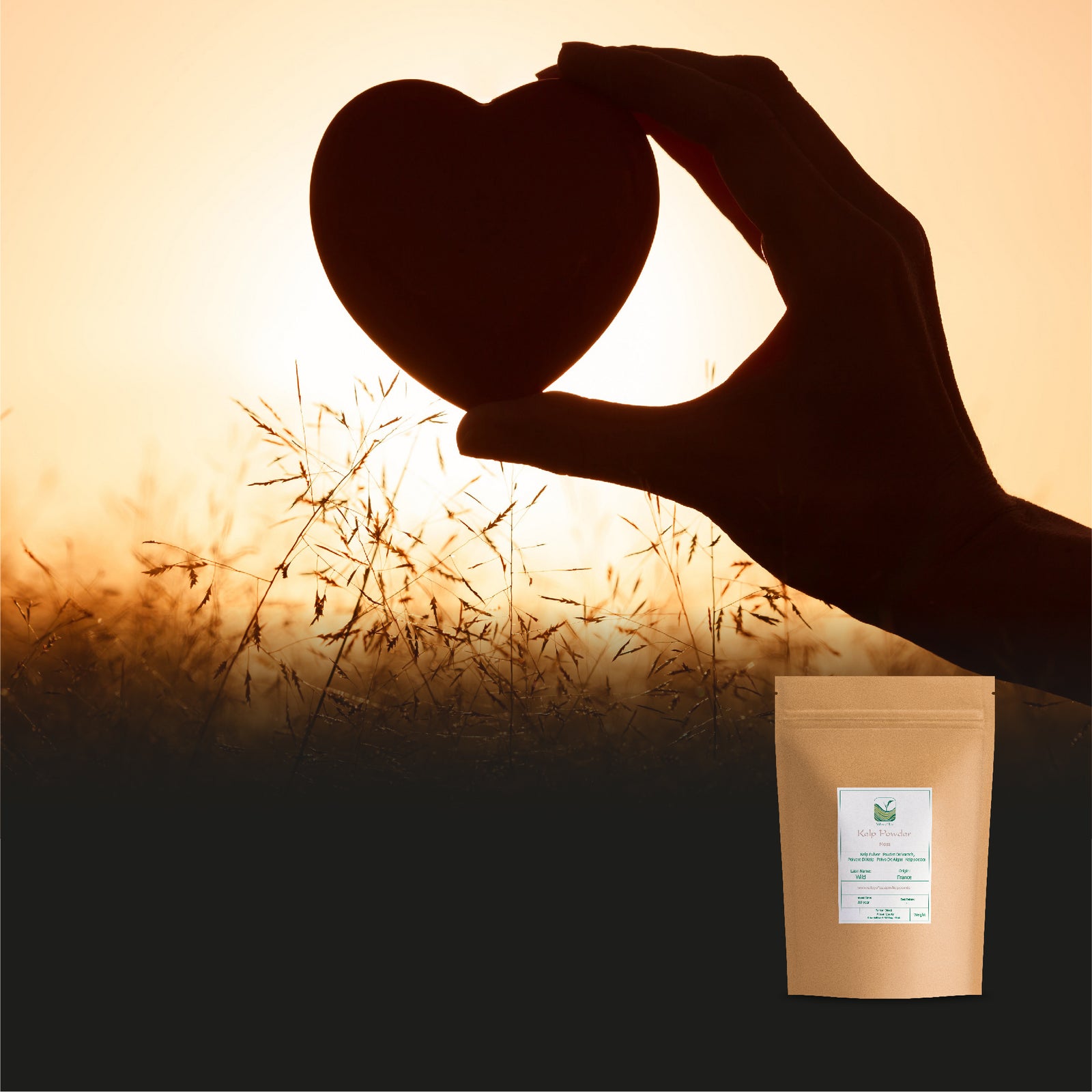 Kelp Powder 100g