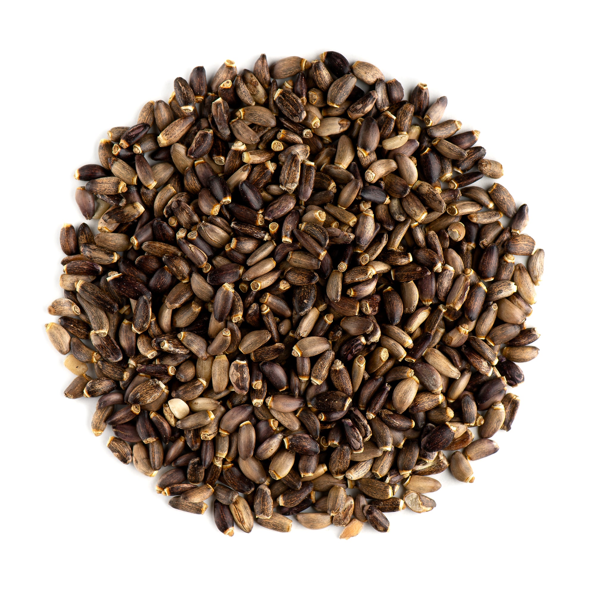 Milk Thistle Seed