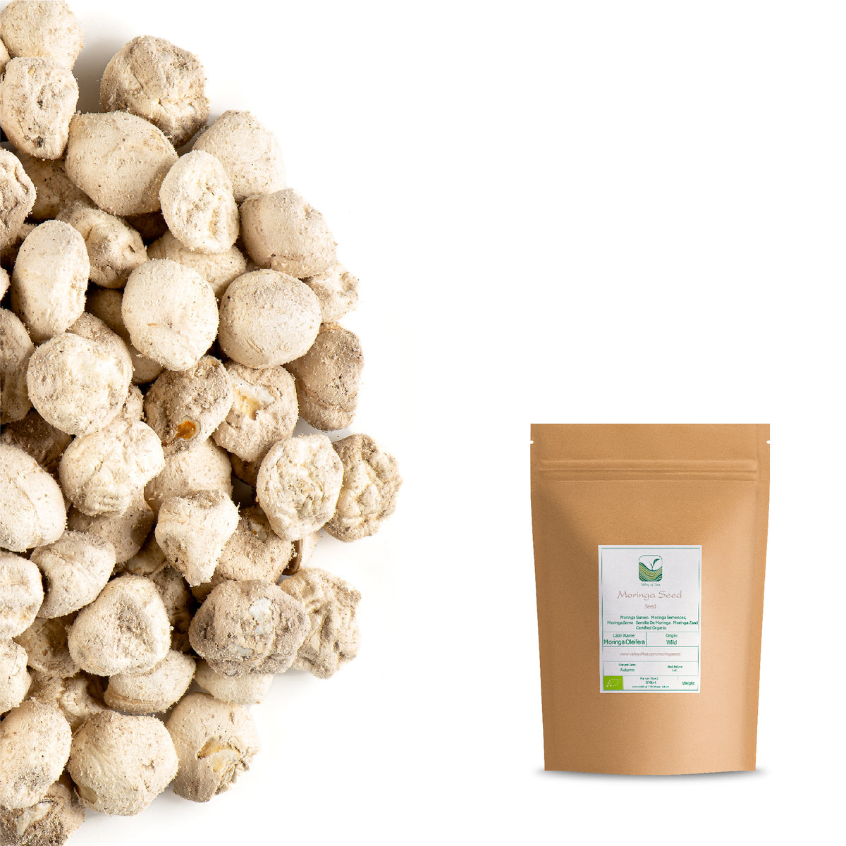 Moringa Seed