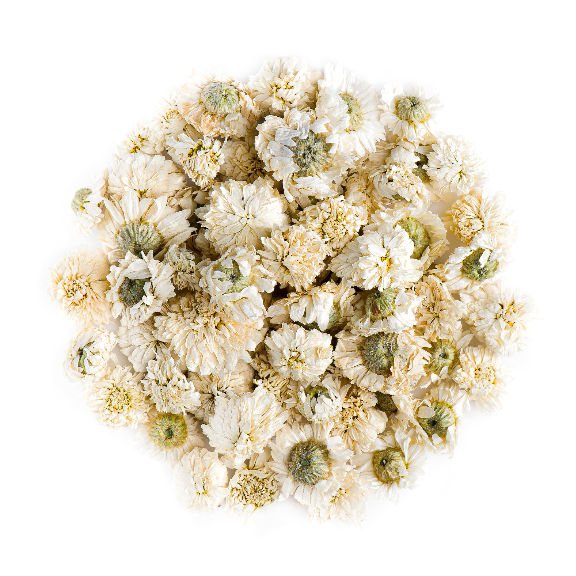 Roman Chamomile