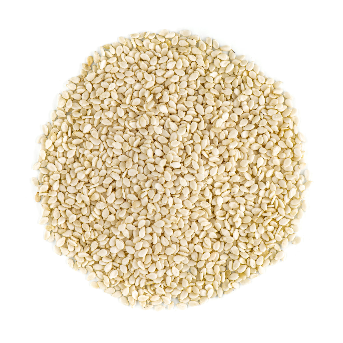Sesame Seed