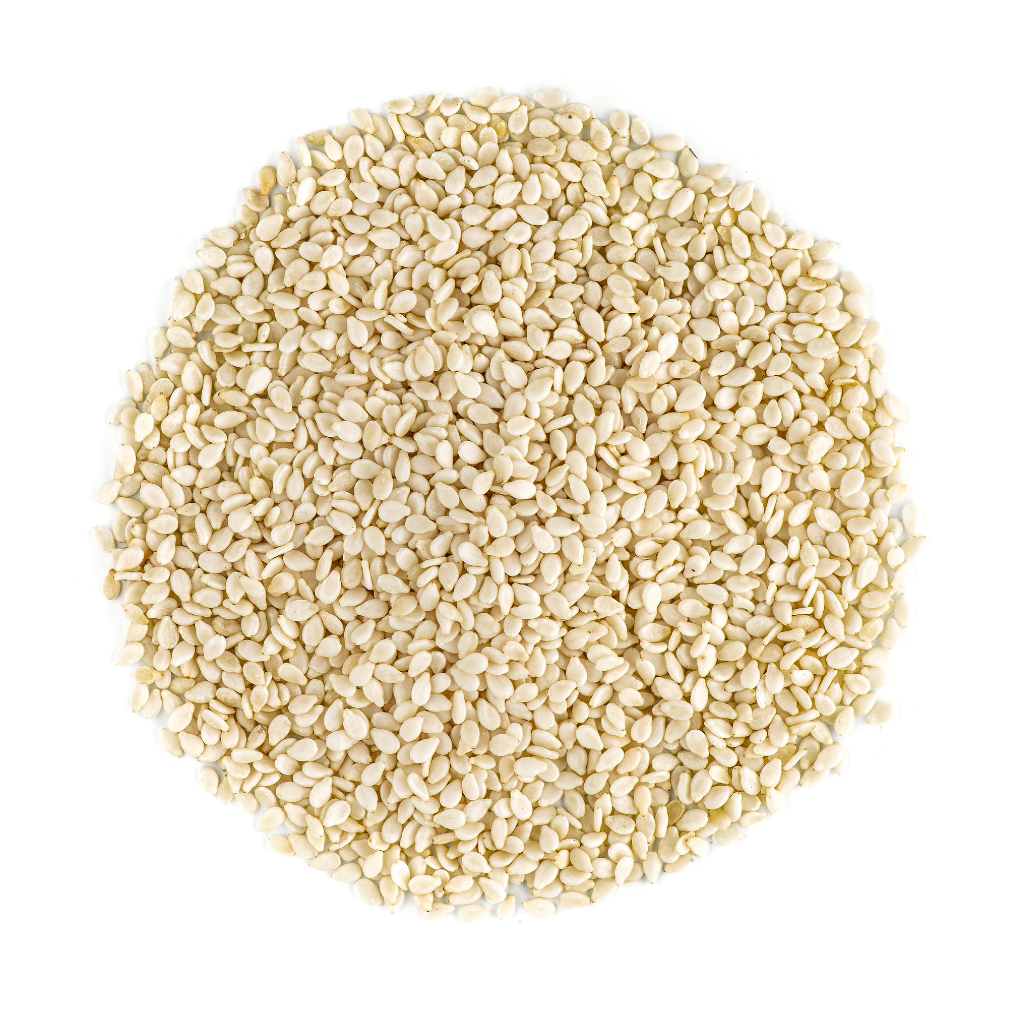 Sesame Seed