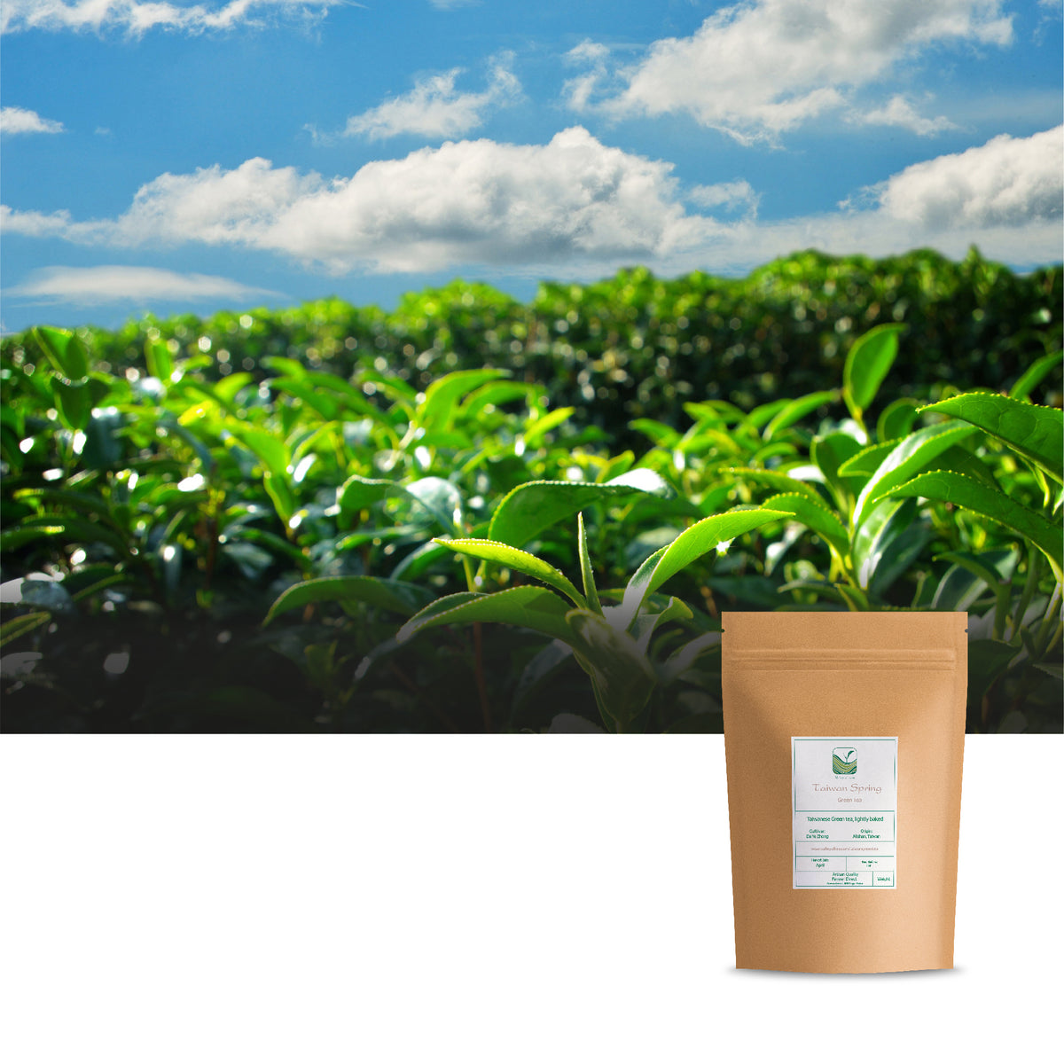 Taiwan Spring 100g