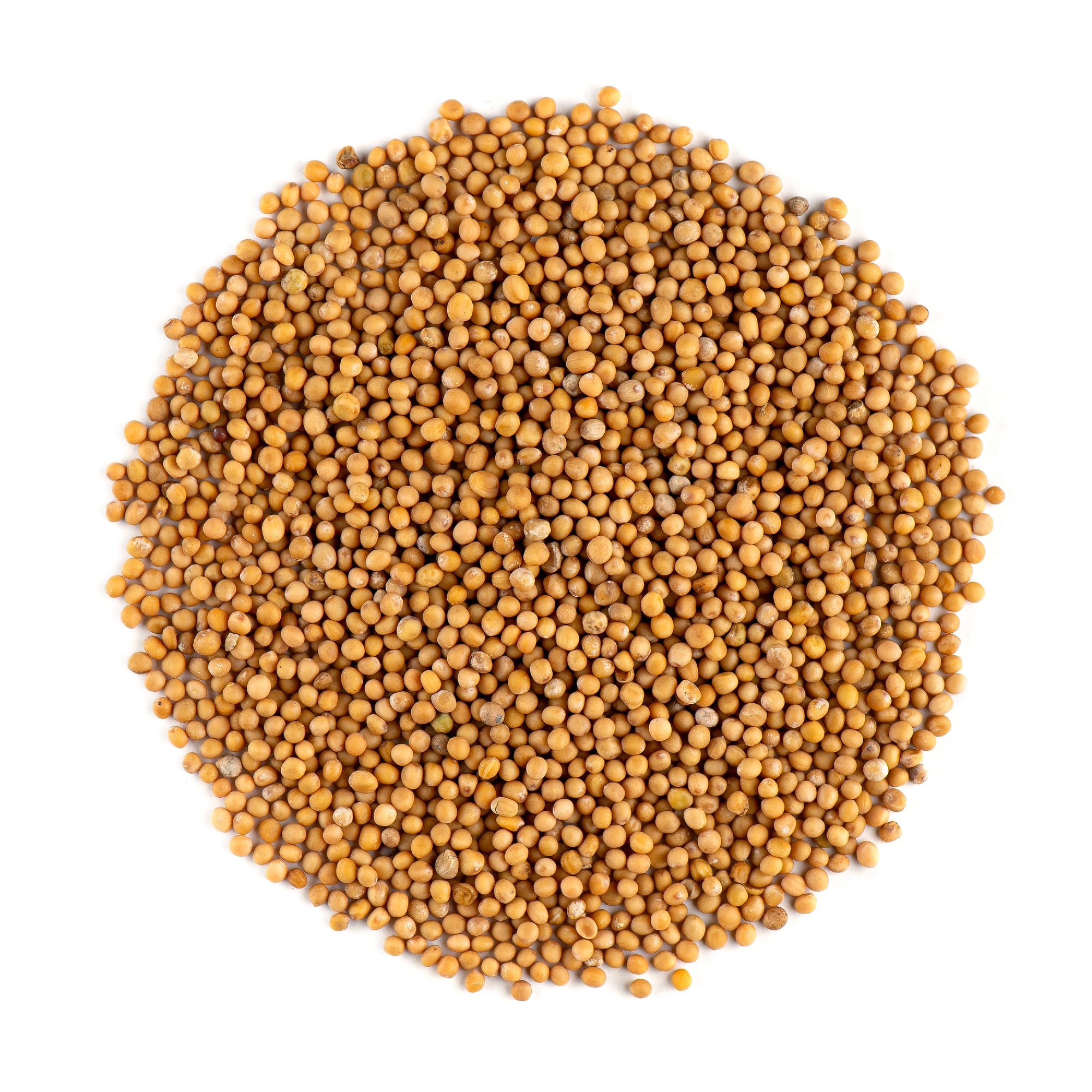 White Mustard Seed